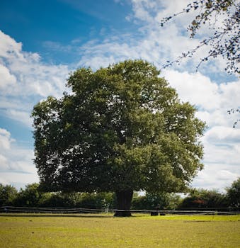  中国出版代表团亮相2026年伦敦书展，书香传递文化自信；多场活动深化国际交流。 文化旅游
