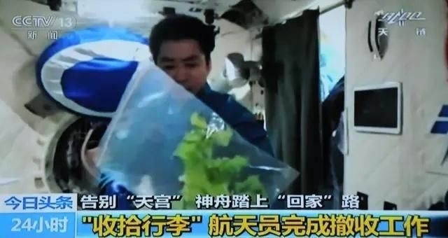  天宫农场樱桃番茄挂满枝头，航天员太空采收忙碌；十年技术积累，微重力绿色奇迹持续绽放。 新闻 天宫农场樱桃番茄挂满枝头，航天员太空采收忙碌；十年技术积累，微重力绿色奇迹持续绽放。 新闻