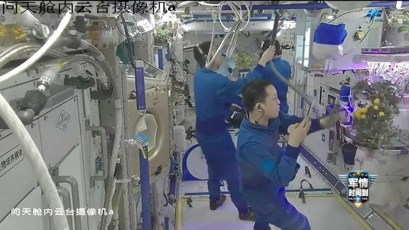  天宫农场樱桃番茄挂满枝头，航天员太空采收忙碌；十年技术积累，微重力绿色奇迹持续绽放。 新闻 天宫农场樱桃番茄挂满枝头，航天员太空采收忙碌；十年技术积累，微重力绿色奇迹持续绽放。 新闻