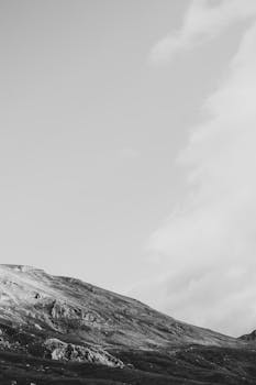  产业梯次发展新格局；毕马威报告展望“十五五”行业前景。 企业服务