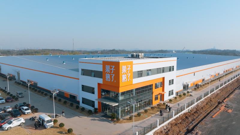  【深度拆解】无糖茶赛道突围：果子熟了如何用六年时间做到行业前三 企业服务