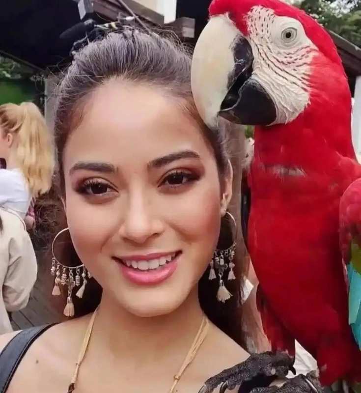  那个辞职去尼泊尔支教的女孩，后来怎么样了？ 情感心理