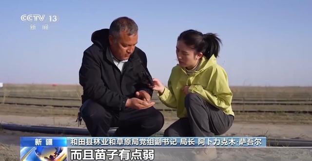  【深度解析】沙漠锁边技术的三重突破：推沙·机械·套种的技术演进路线 新闻