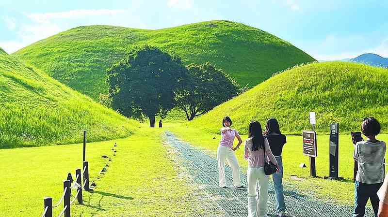 考古视角下的庆州大陵苑：被低估的历史密码库