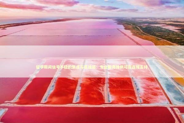 留学期间信号不稳的焦虑与孤独感：专业服务提供可靠连接支持 新闻