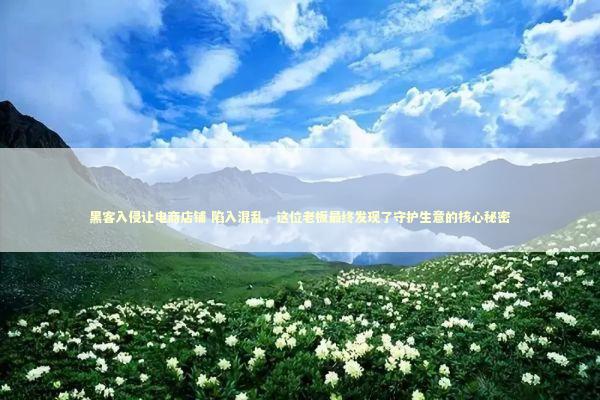 黑客入侵让电商店铺 陷入混乱，这位老板最终发现了守护生意的核心秘密 新闻