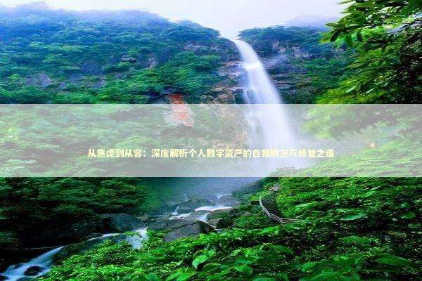 从焦虑到从容：深度解析个人数字资产的自我防卫与修复之道 IT技术