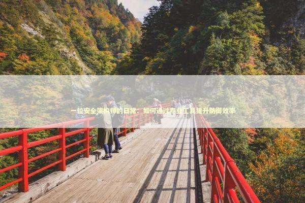 一位安全架构师的日常：如何通过专业工具提升防御效率 IT技术